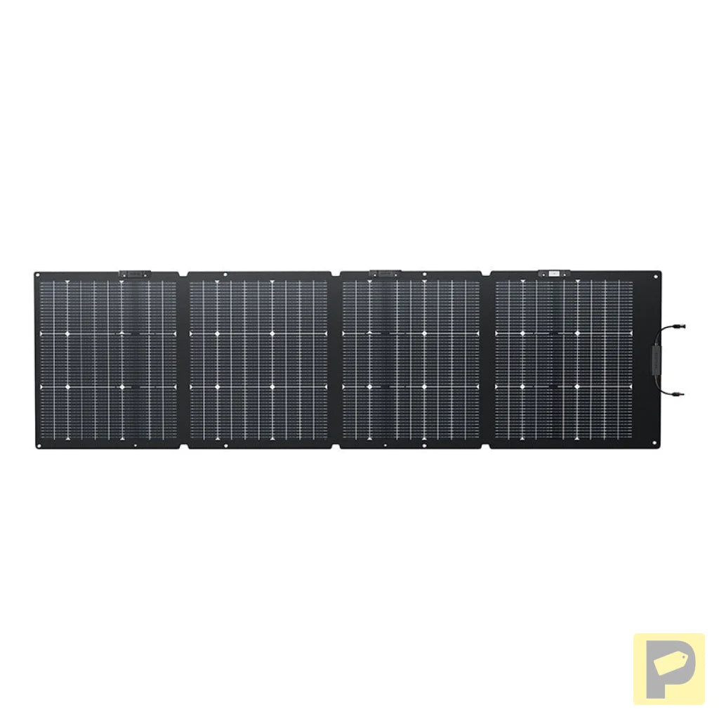 Set: EcoFlow Delta 2 power station + 220W photovoltaic panel.