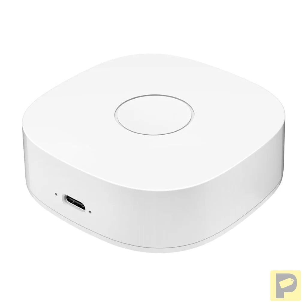 Smart home WS2GW-R WiFi